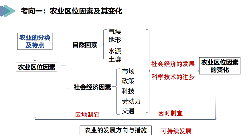 17649488第3页