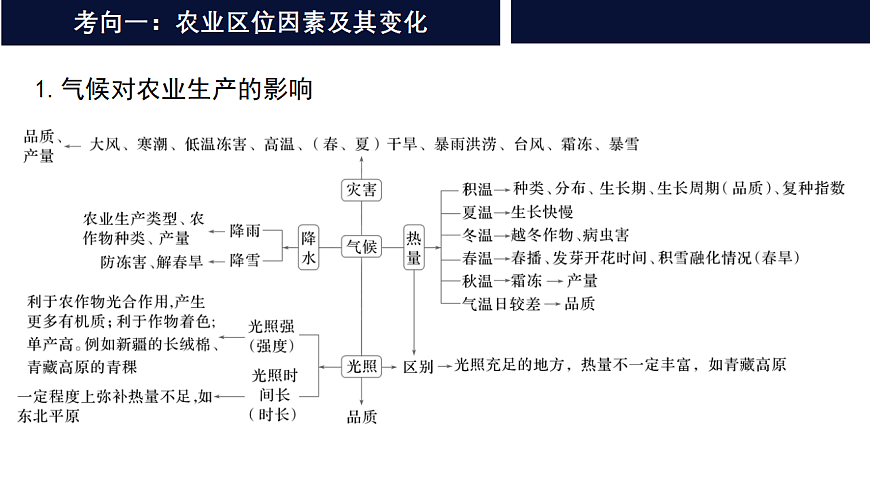 17649488第4页