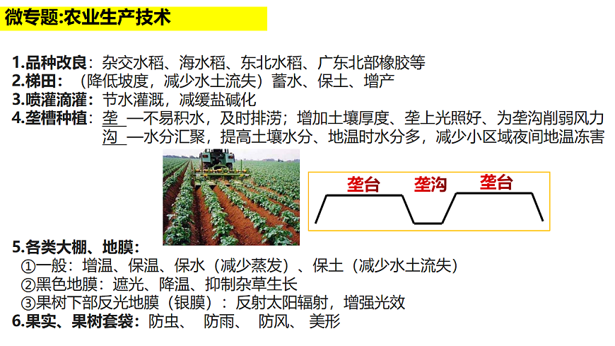 17649488第7页