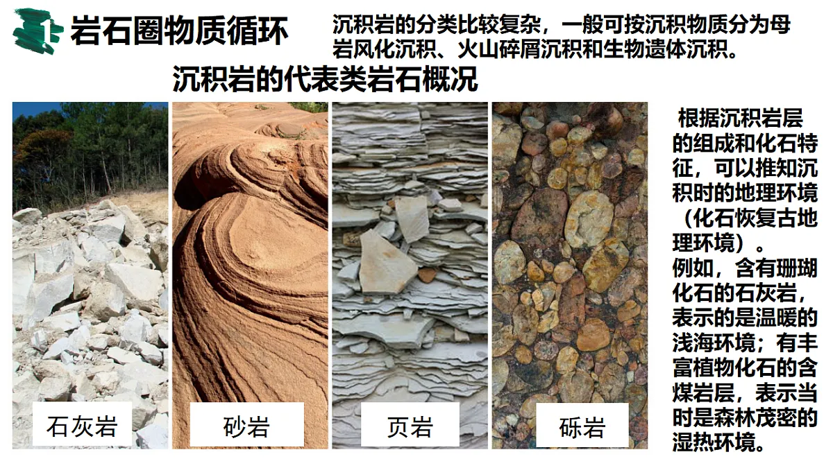 17649491第8页