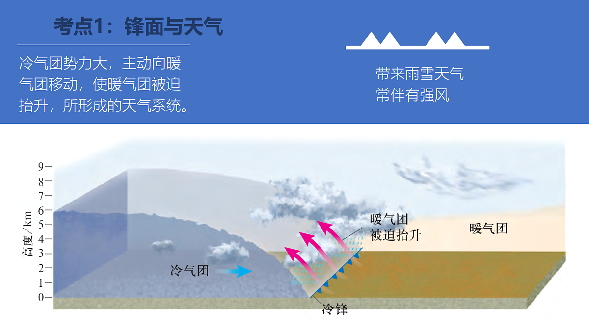 17649494第3页