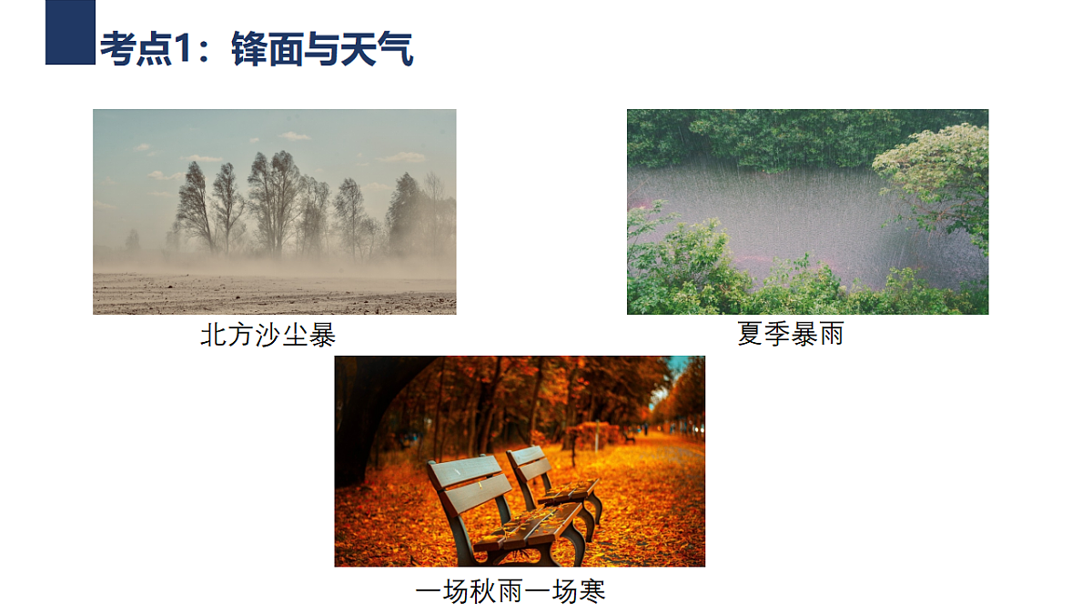 17649494第4页
