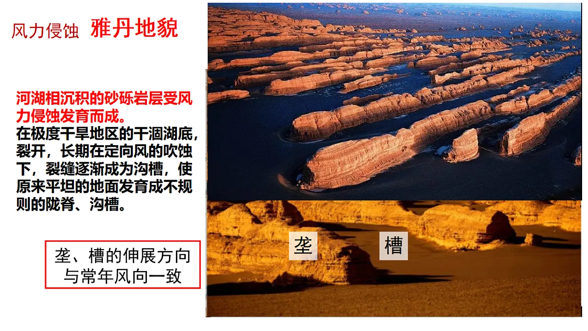 17649495第5页