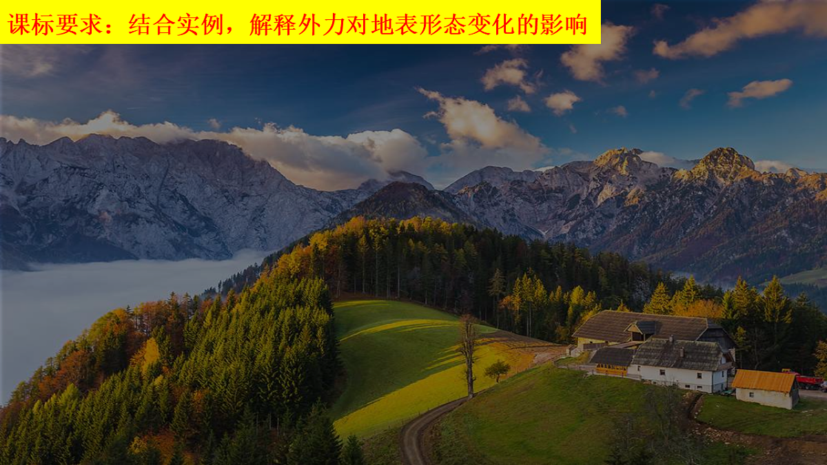 17649501第2页