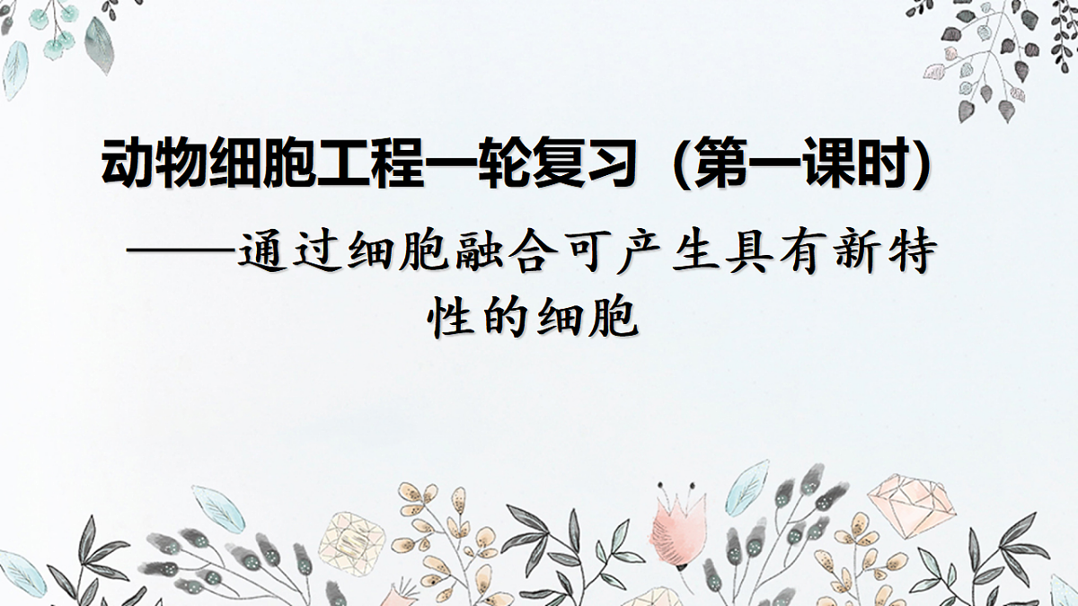 17649594第1页