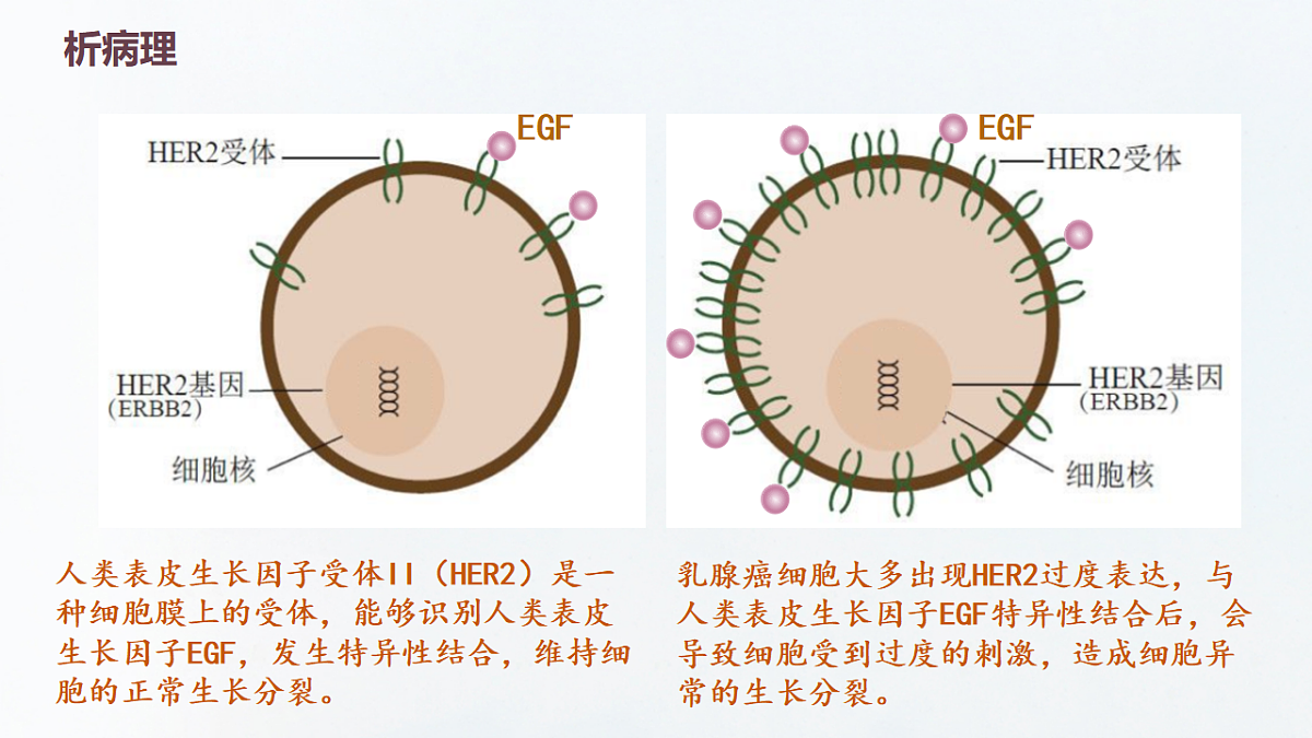 17649594第3页