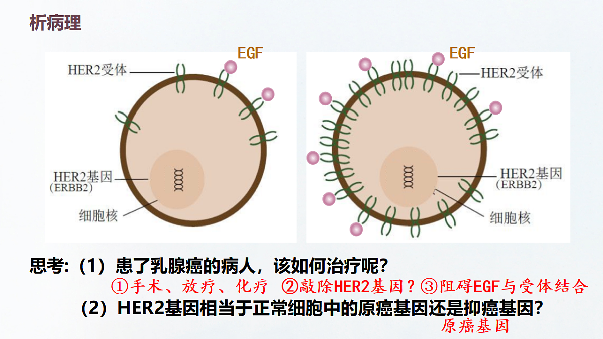 17649594第4页
