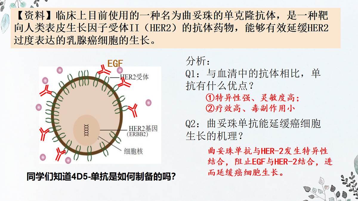 17649594第5页