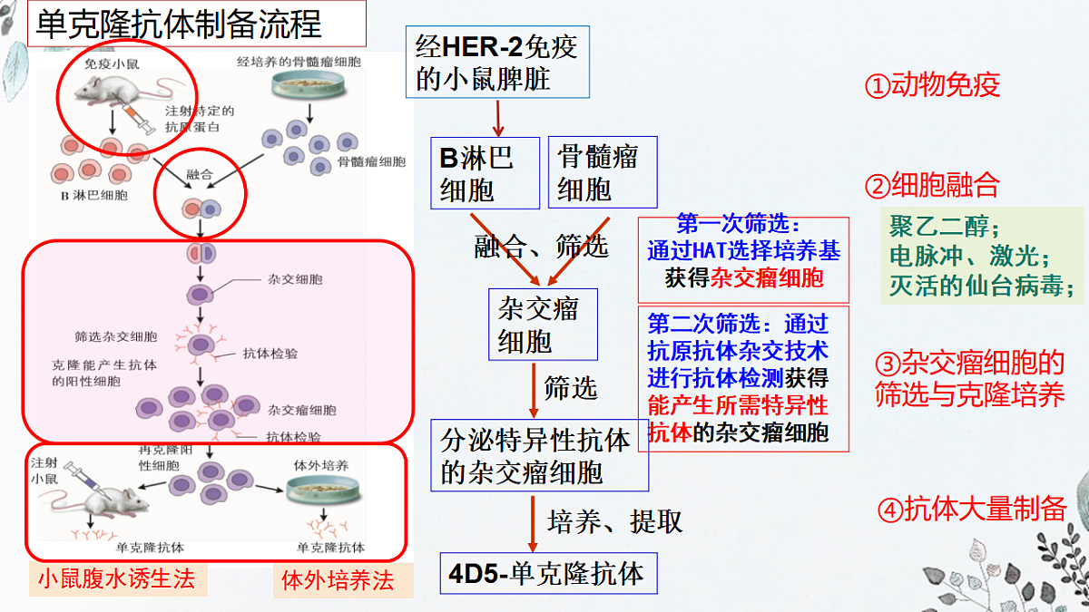 17649594第7页