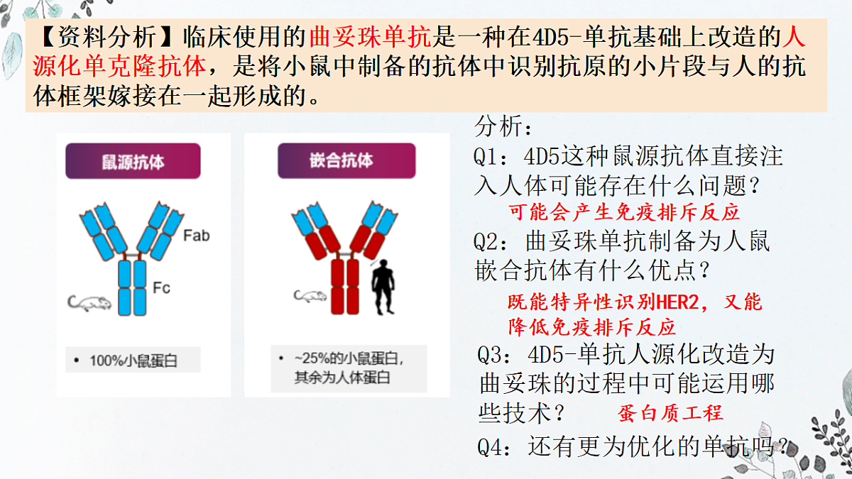 17649594第8页
