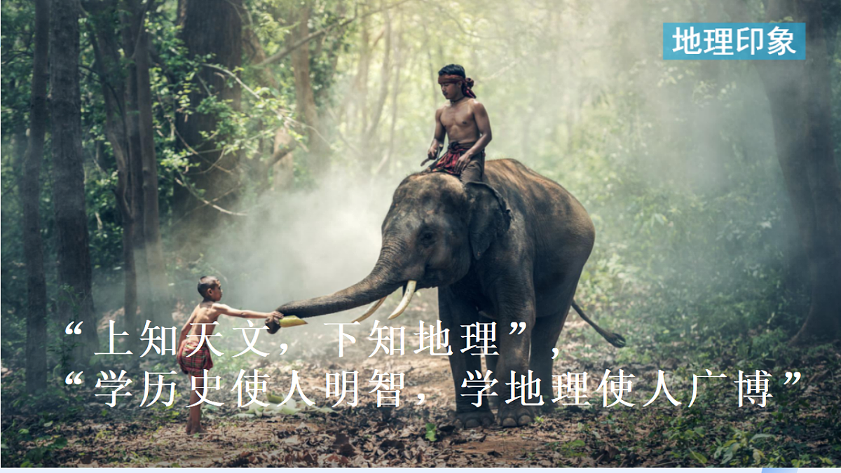 17651898第3页