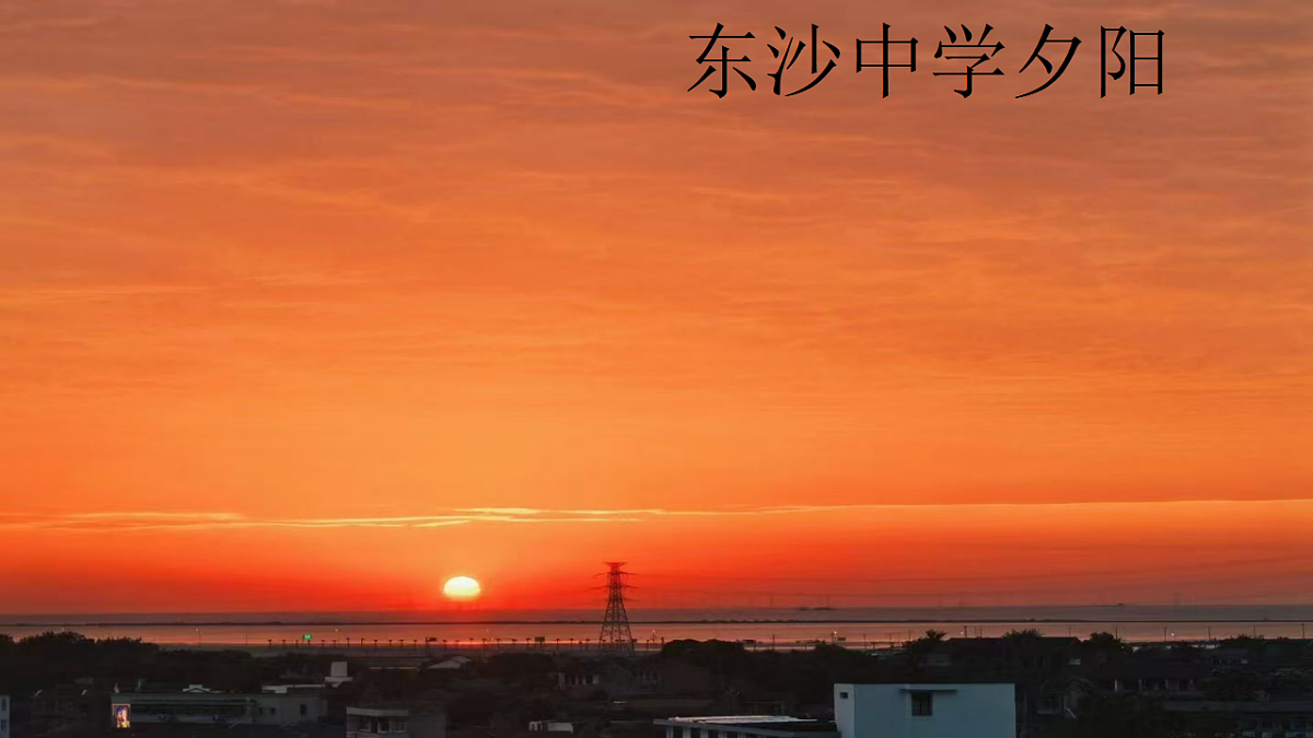 17651898第7页