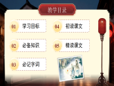 人教部编版（2024）语文八年级下册 4《灯笼》（课件）