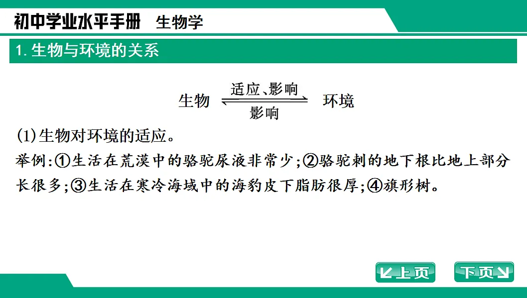 17652111第2页