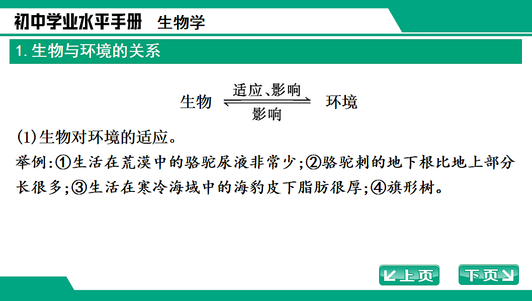 17652111第2页
