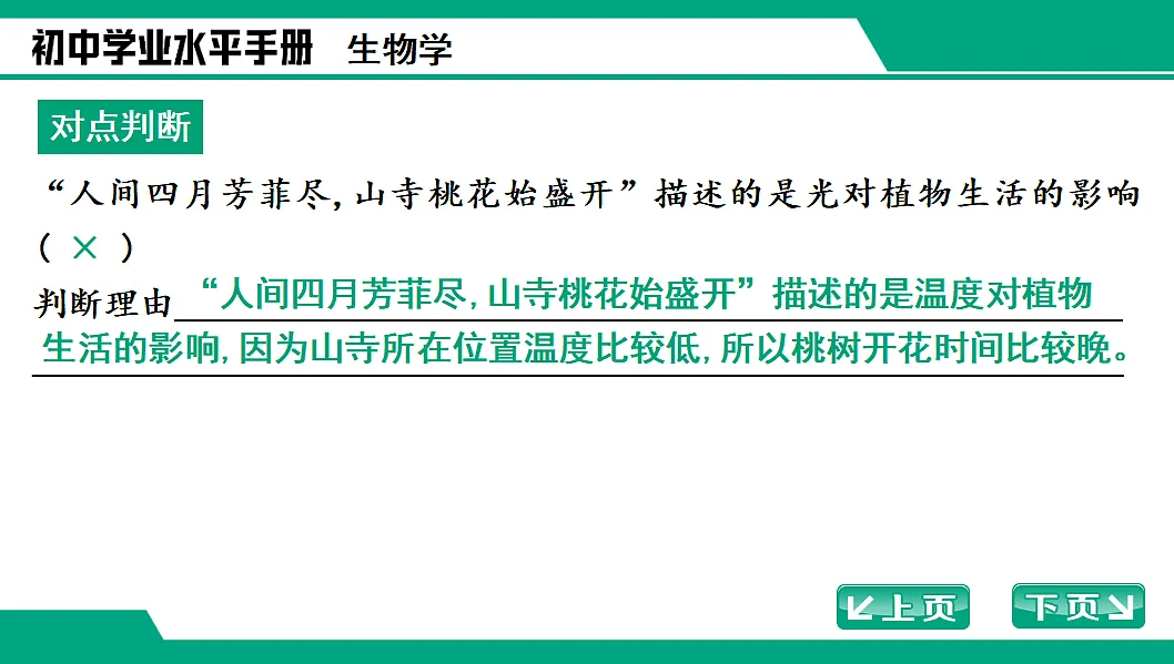 17652111第3页