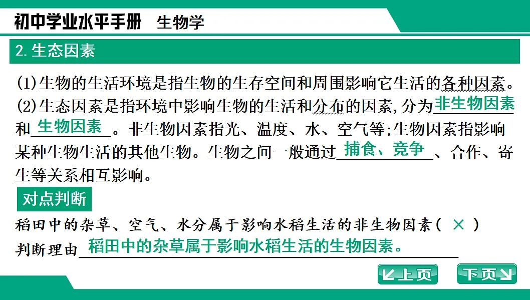 17652111第5页