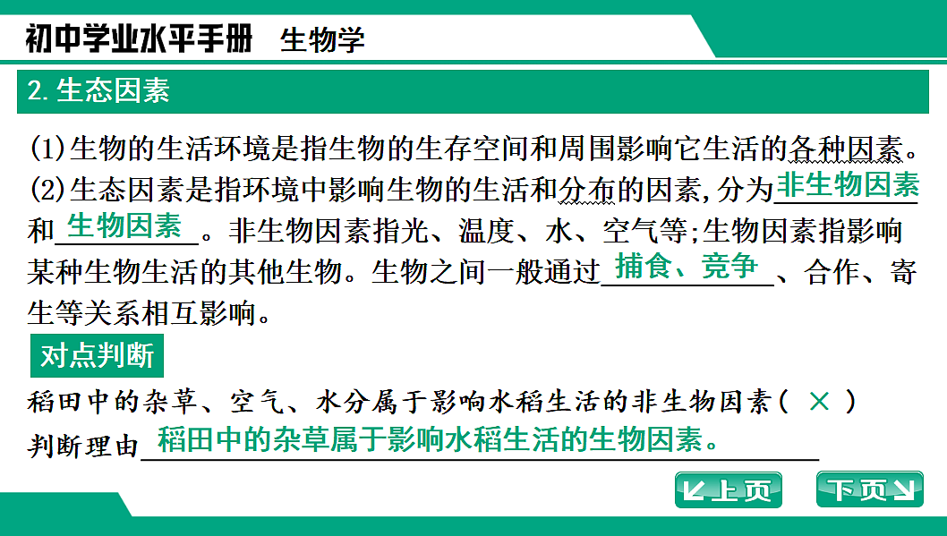 17652111第5页