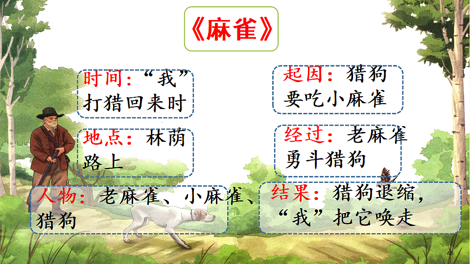 17653513第8页