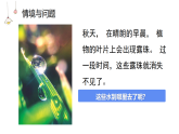 教科版2024小学科学三上第二单元《1、水到哪里去了》课件