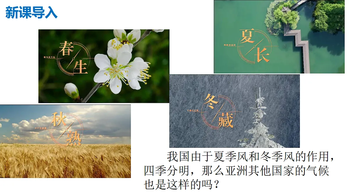 17655620第2页