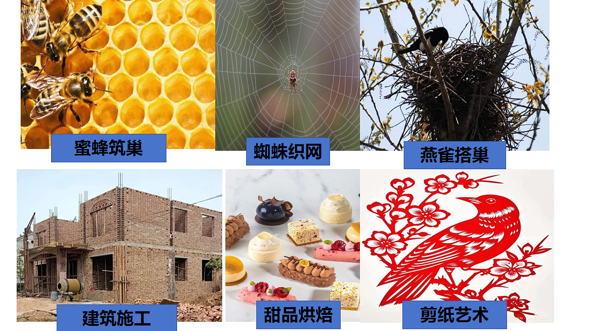 17655871第6页