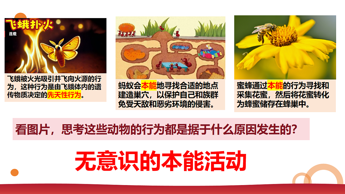 17655874第5页