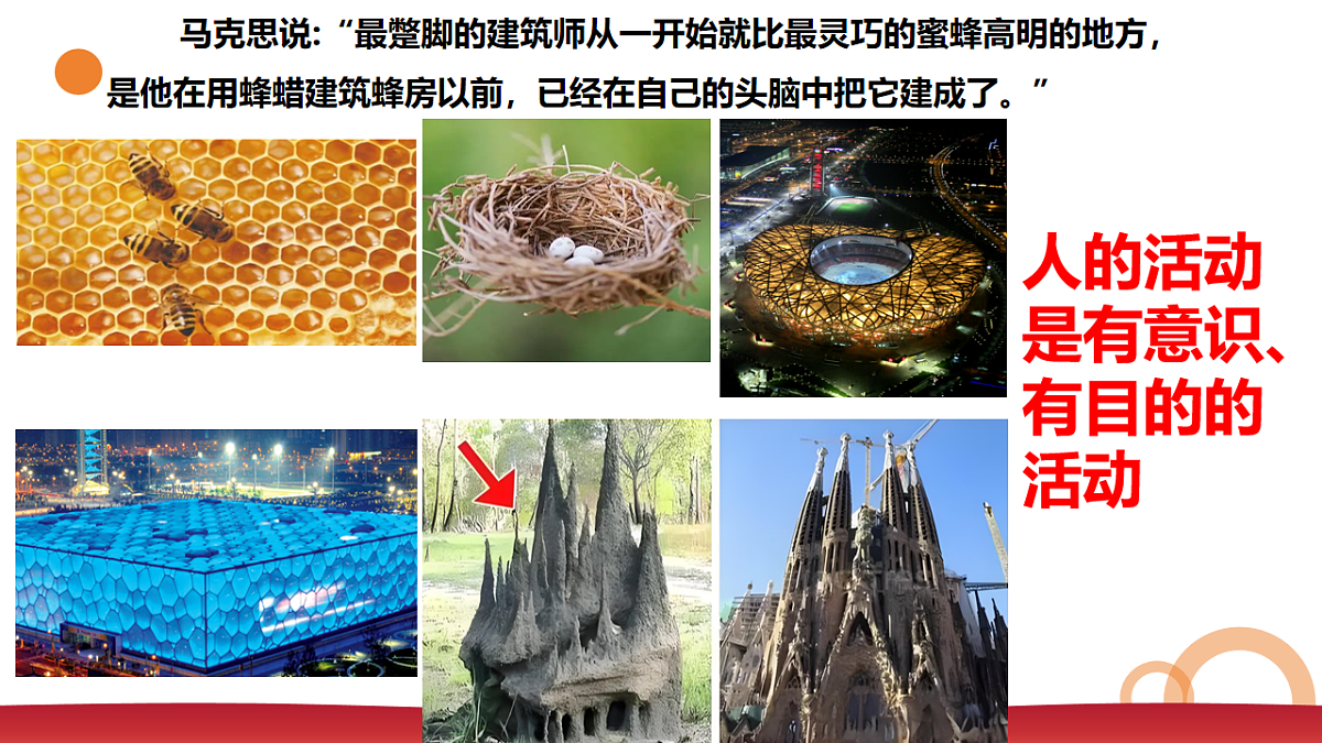 17655874第6页