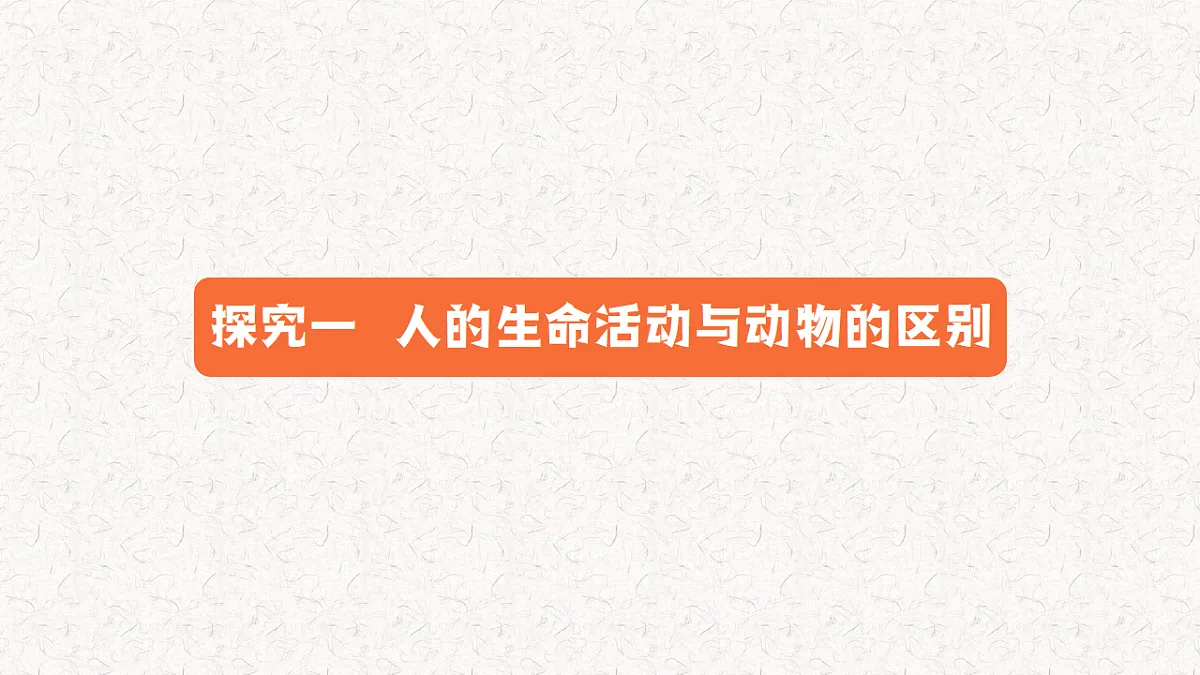 17655875第6页