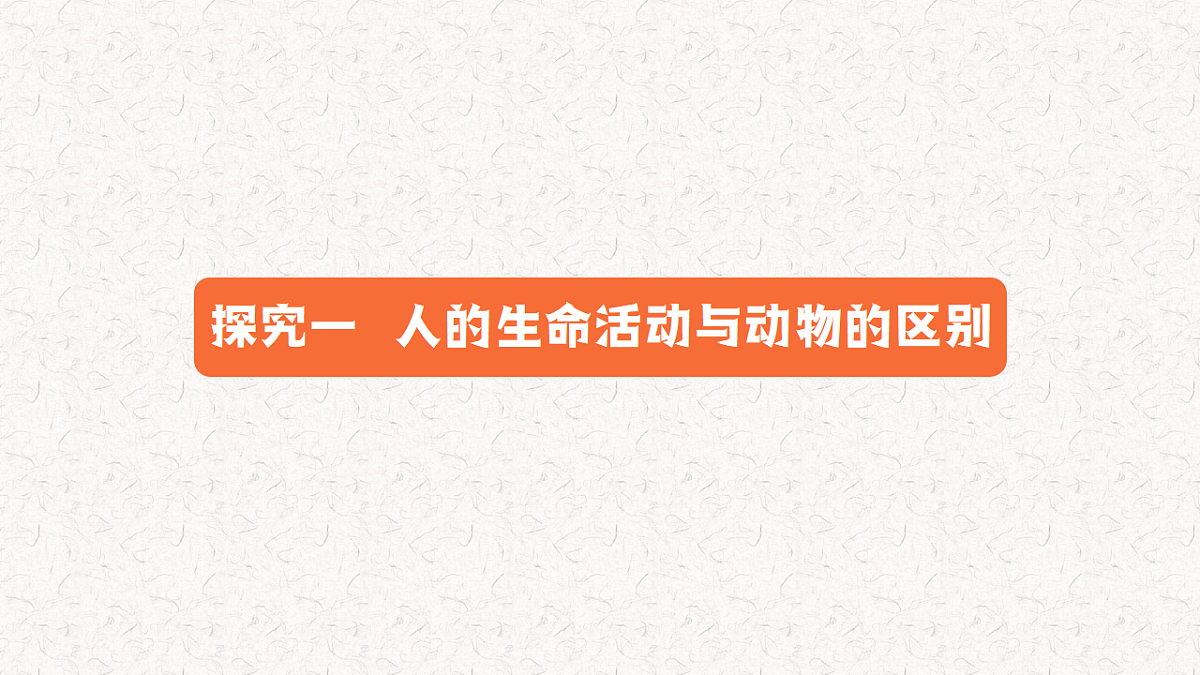 17655875第6页