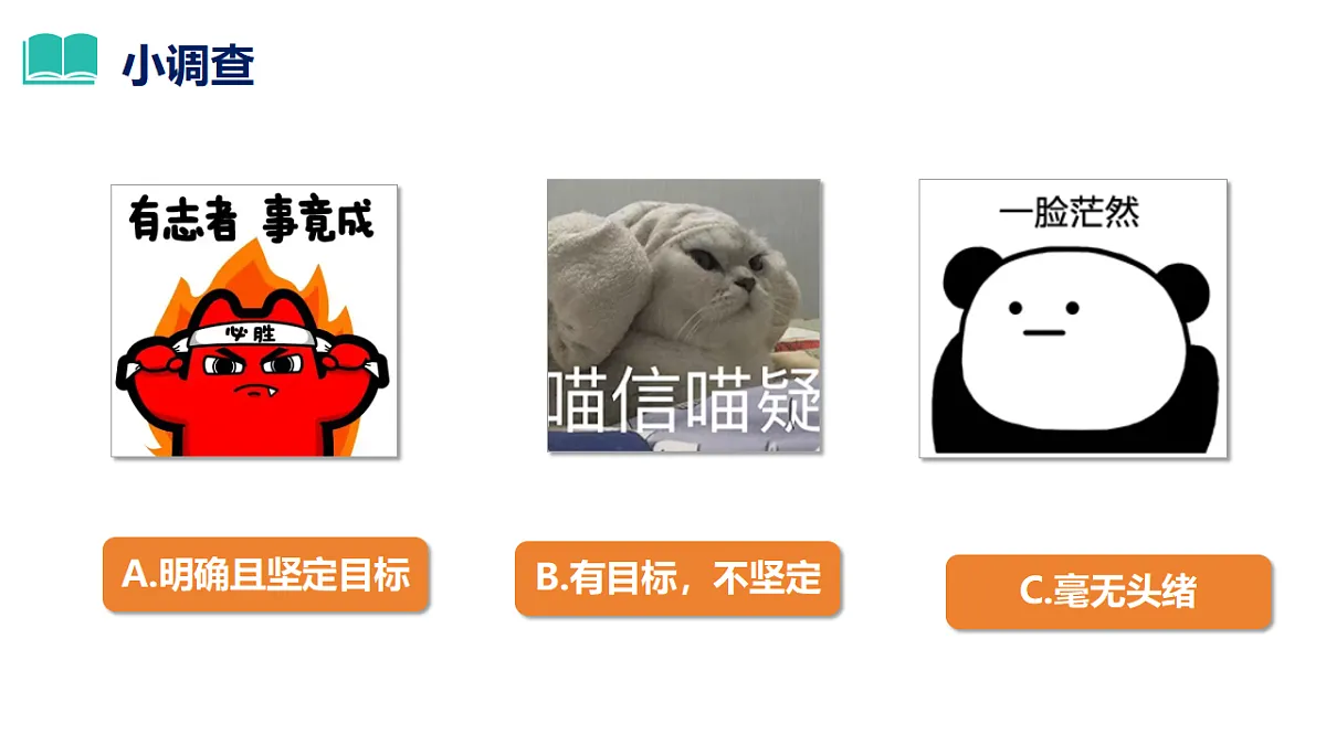 17655877第1页