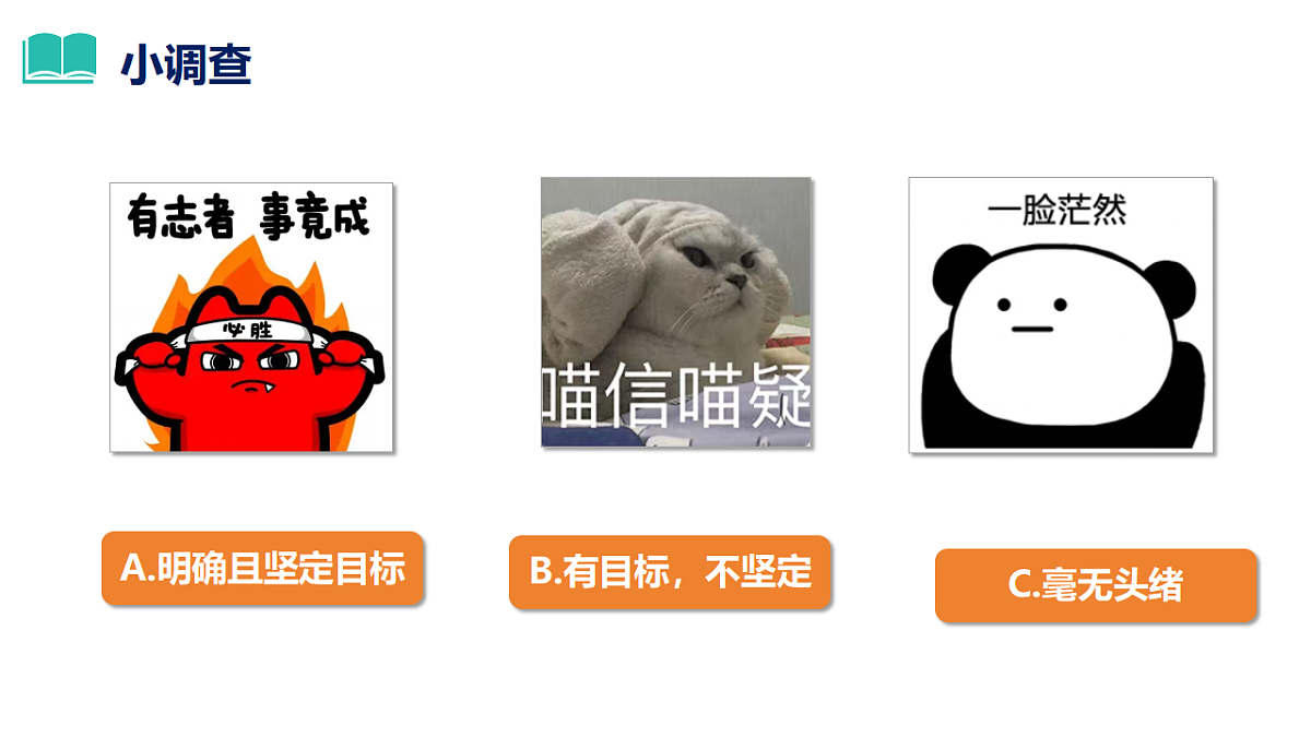 17655877第1页