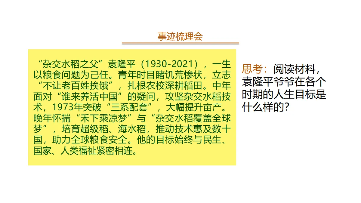 17655877第5页