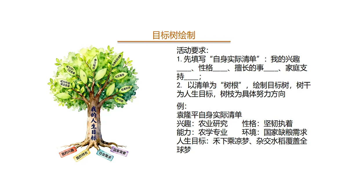 17655878第7页