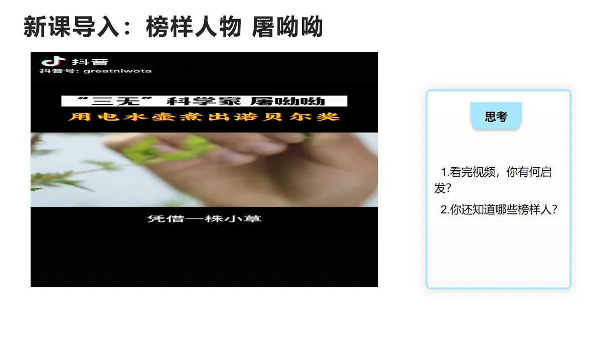 17655879第3页