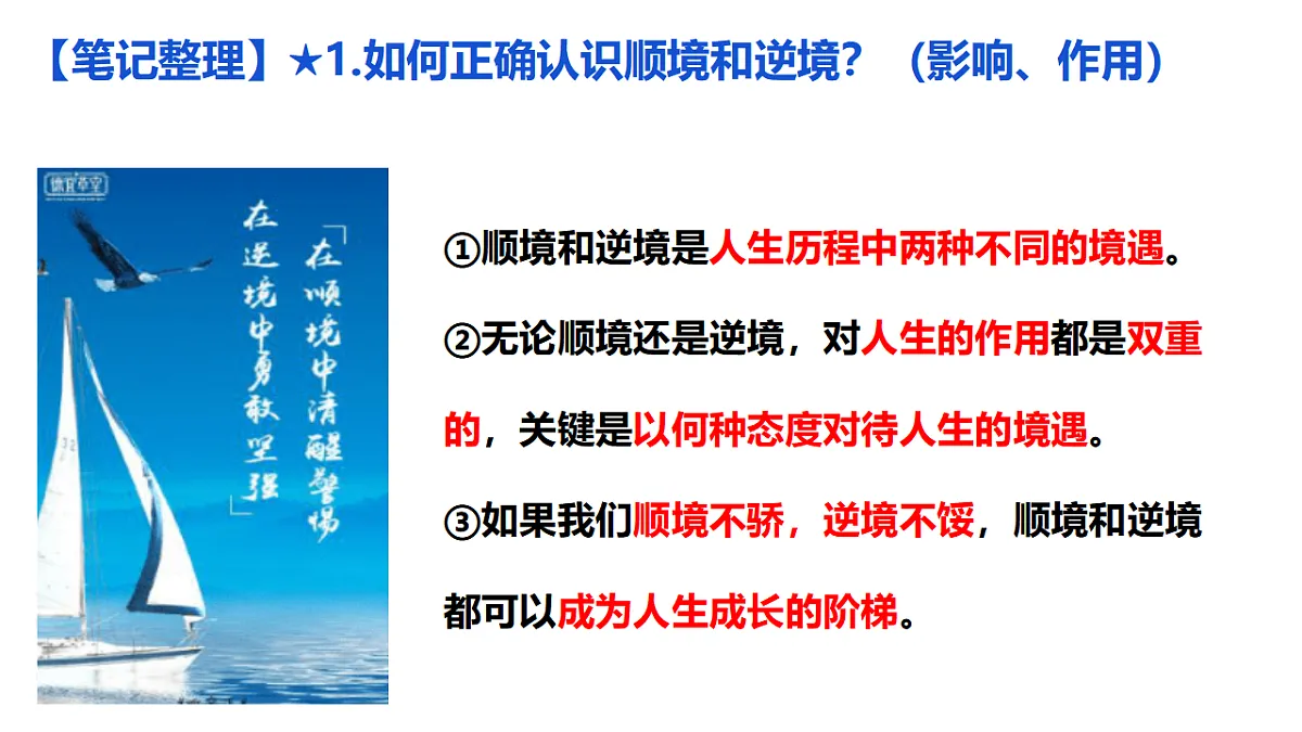 17655883第7页