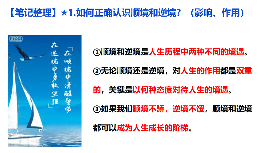 17655883第7页