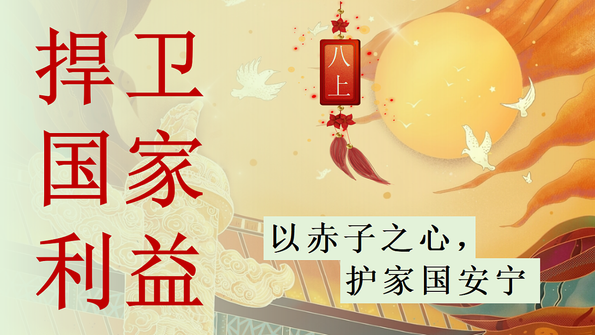 17655904第3页