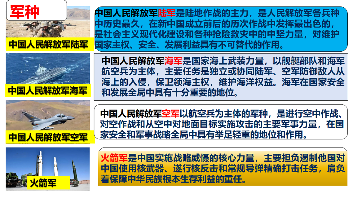 17655906第7页