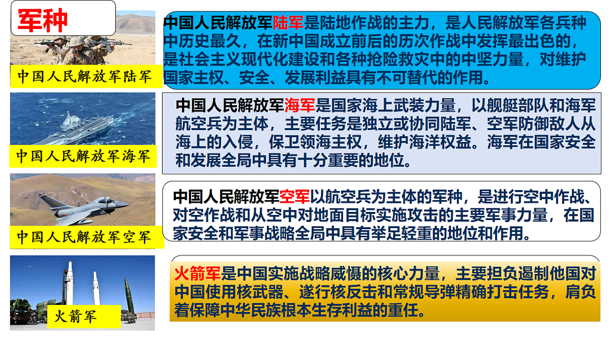 17655909第8页