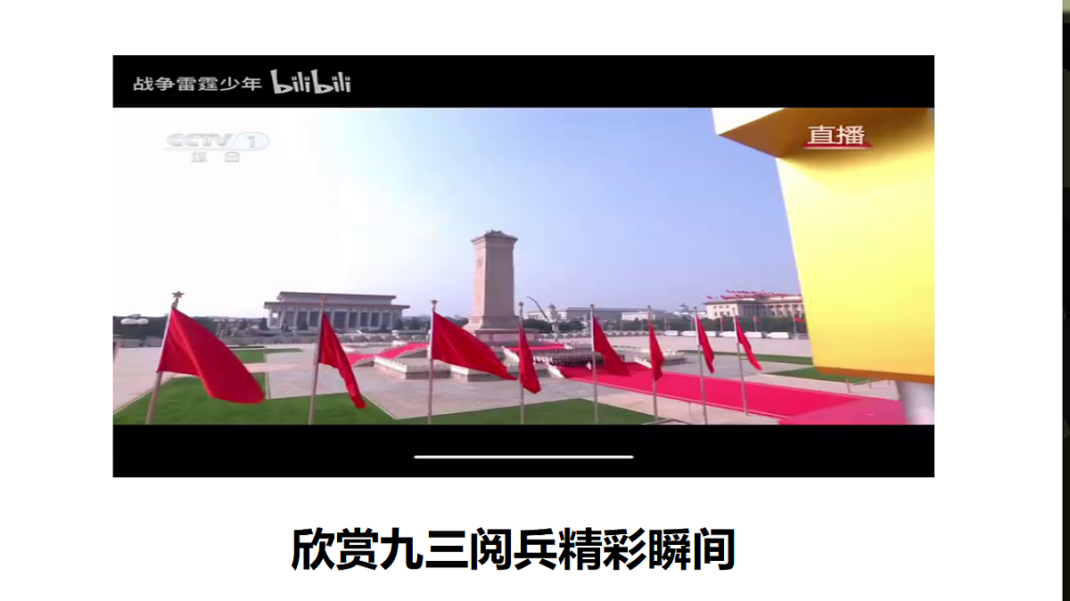 17655916第7页
