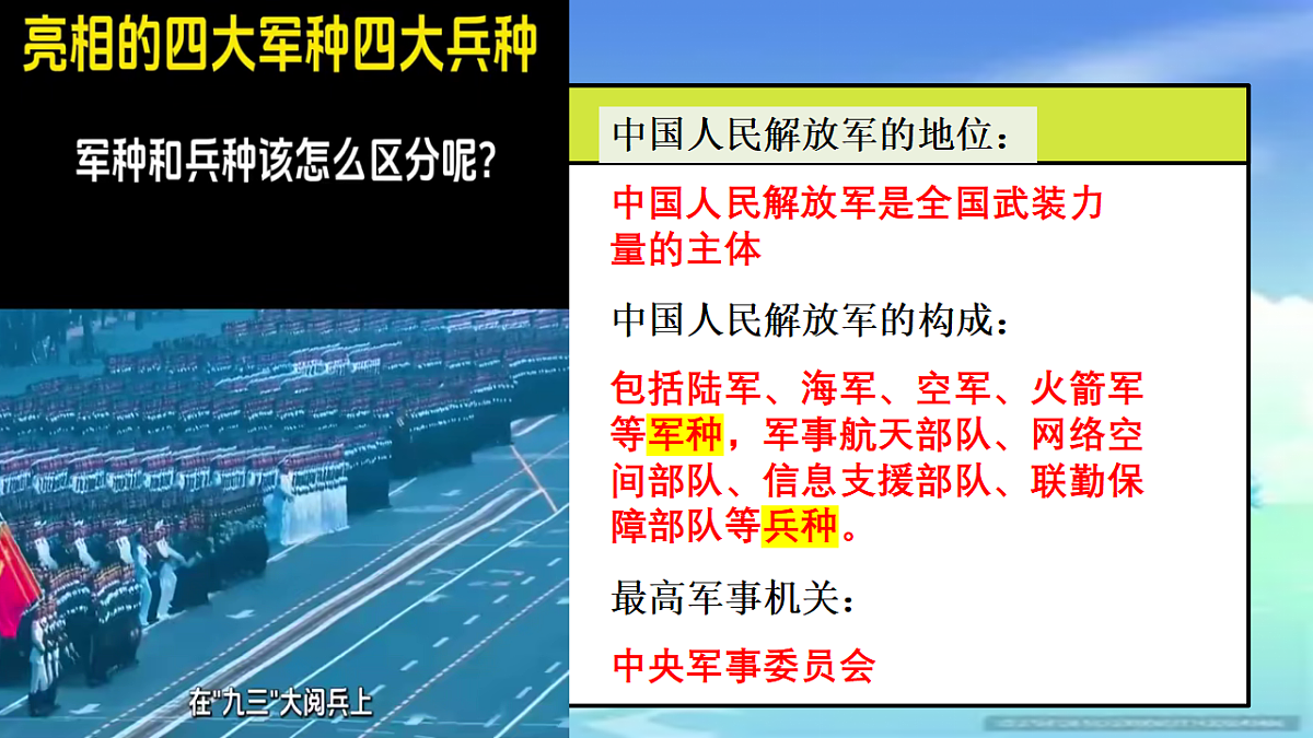 17655918第7页