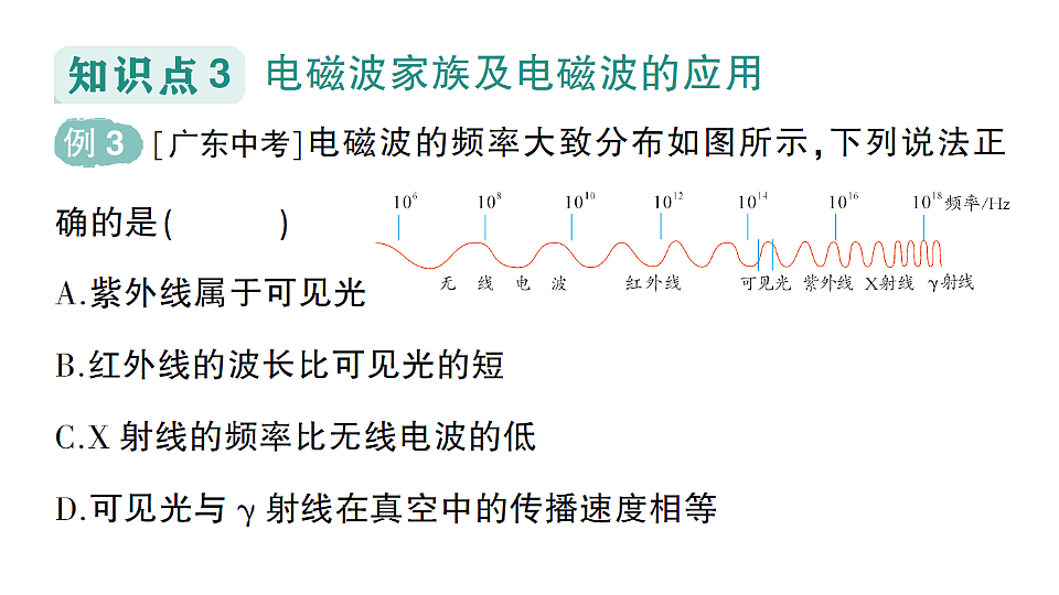 17656209第8页