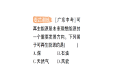 初中物理新人教版九年级全册第二十二章第一节 能源利用的现状和面临的挑战作业课件（2026春）