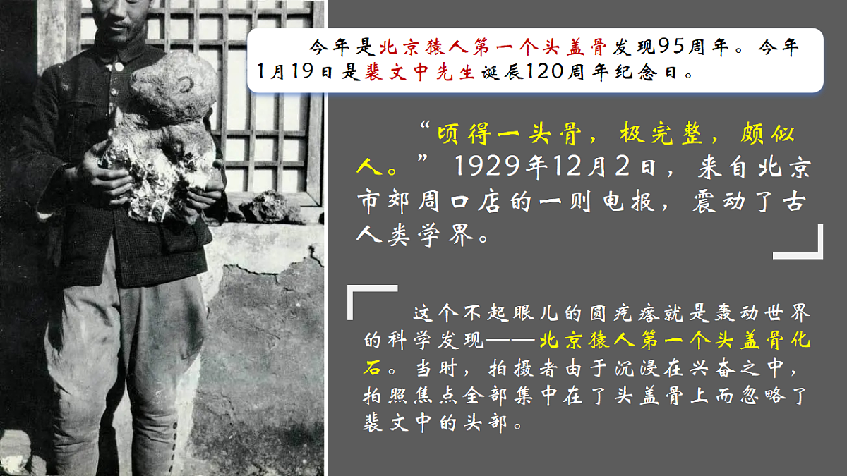 17656526第1页
