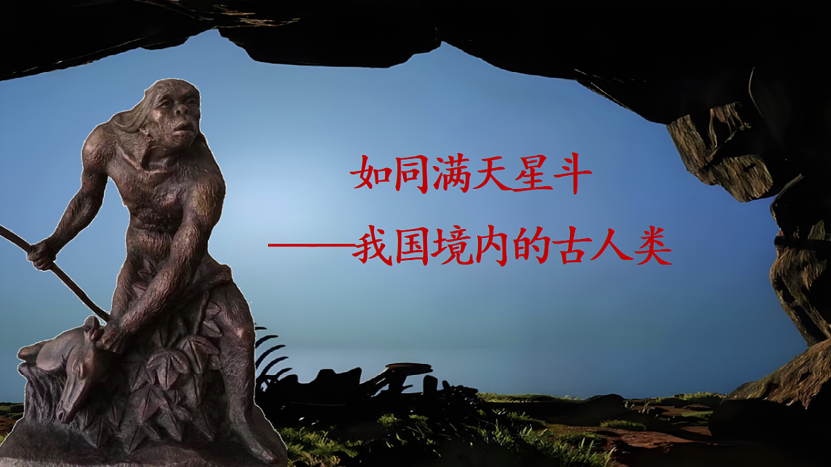 17656526第3页