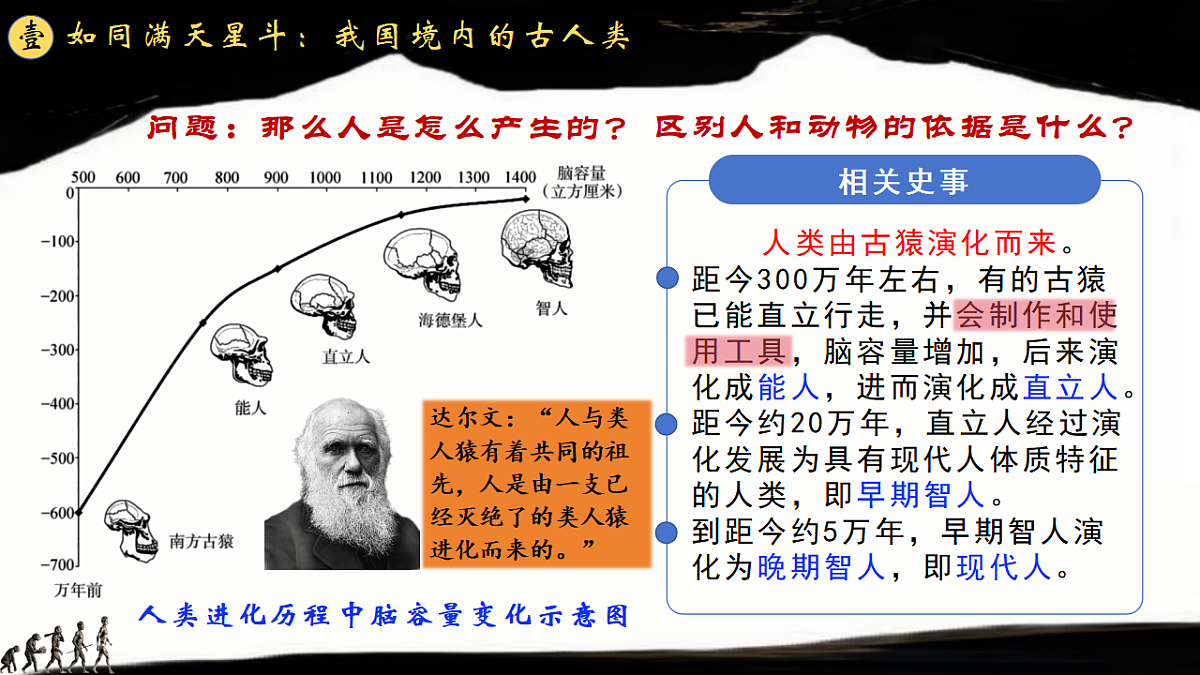17656526第4页