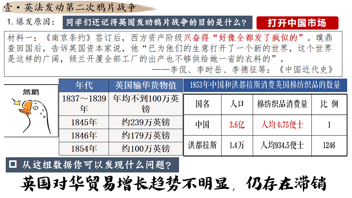 17656529第3页