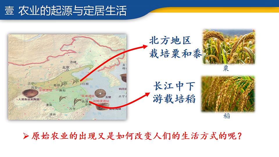 17656532第7页