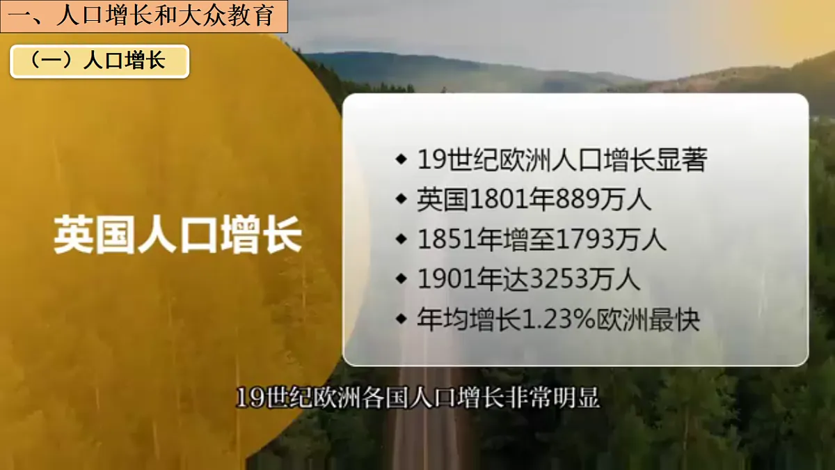 17656655第7页